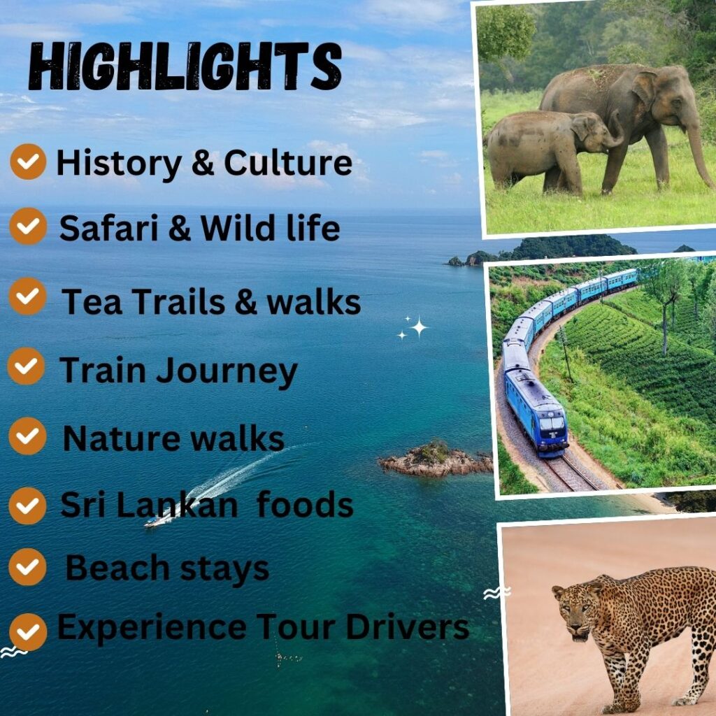 Beauty of Sri Lanka Tour